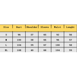 Early Autumn French White V neck Lace Shirt Women Summer High Grade Niche Shirt Long Sleeved Top
